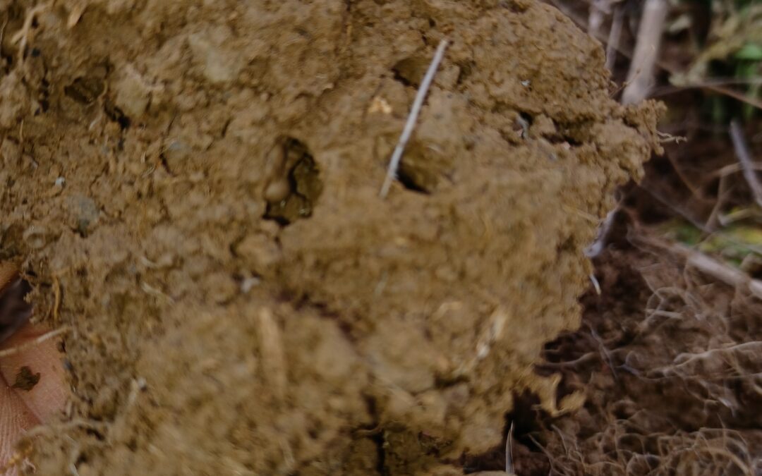 Texture / Structure : Quelles différences ?