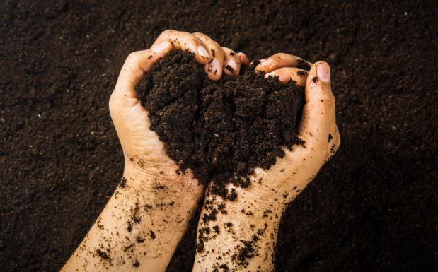 Sol argileux : Comment tirer parti de ses richesses ?