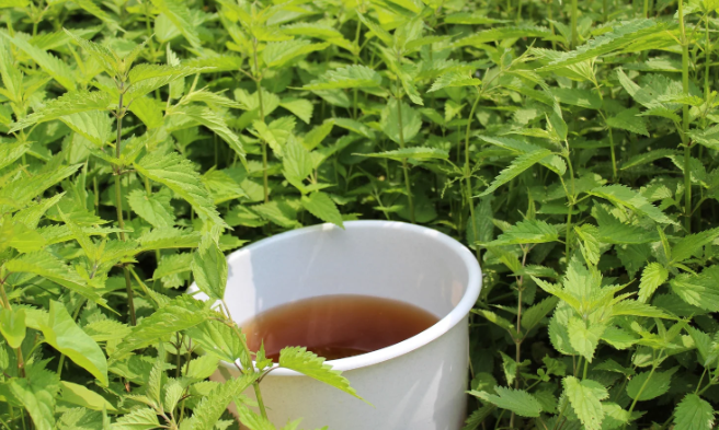 Les biofertilisants : un coup de boost !