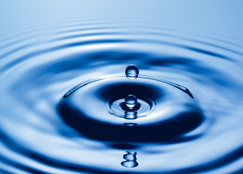 L&rsquo;eau : l&rsquo;or bleu du potager !