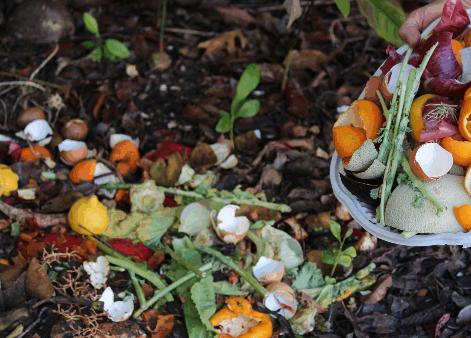 Septembre au jardin : et si vous prépariez un tas de compost ?