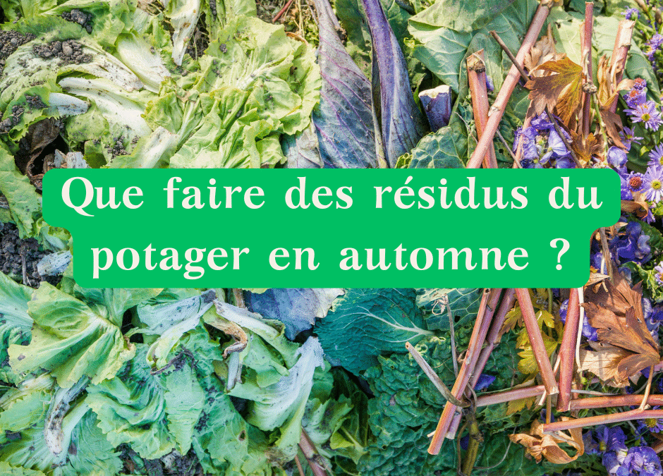 Que faire des résidus du potager en automne ?