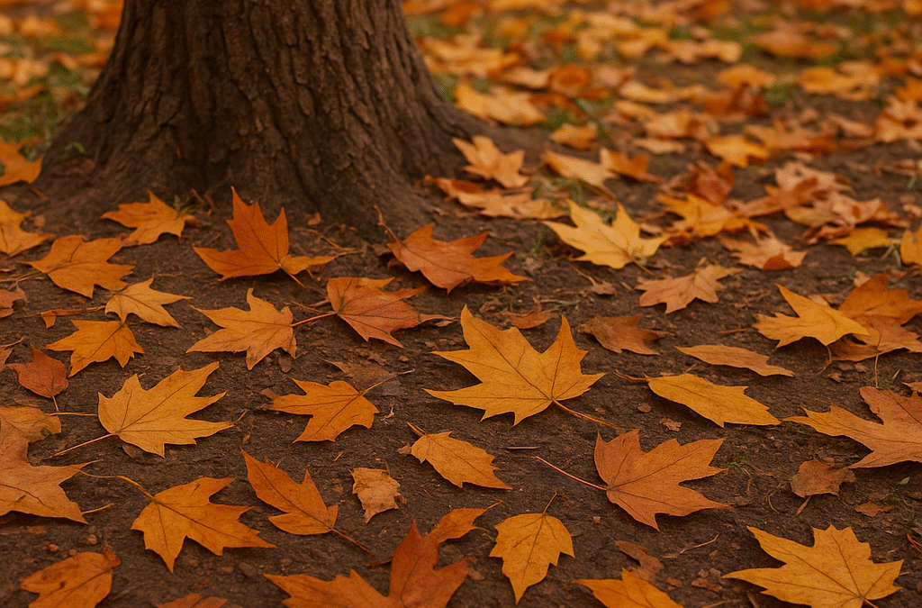 🍁 Feuilles mortes : un trésor pour le sol