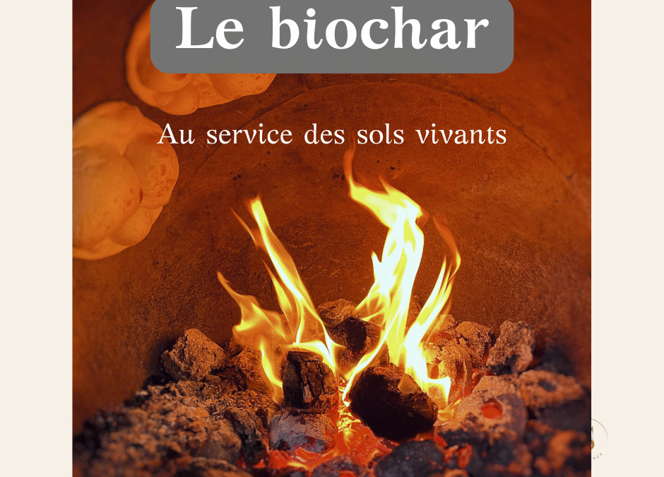Le biochar : une ancienne technique au service des sols vivants