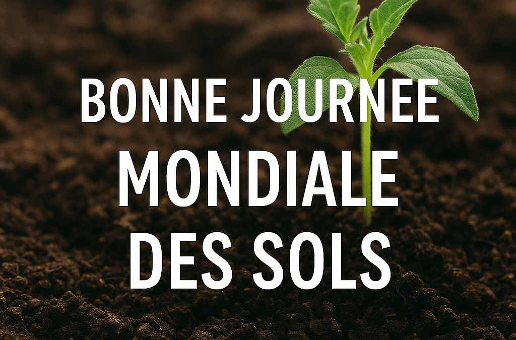 Journée mondiale des sols : les comprendre pour mieux les protéger