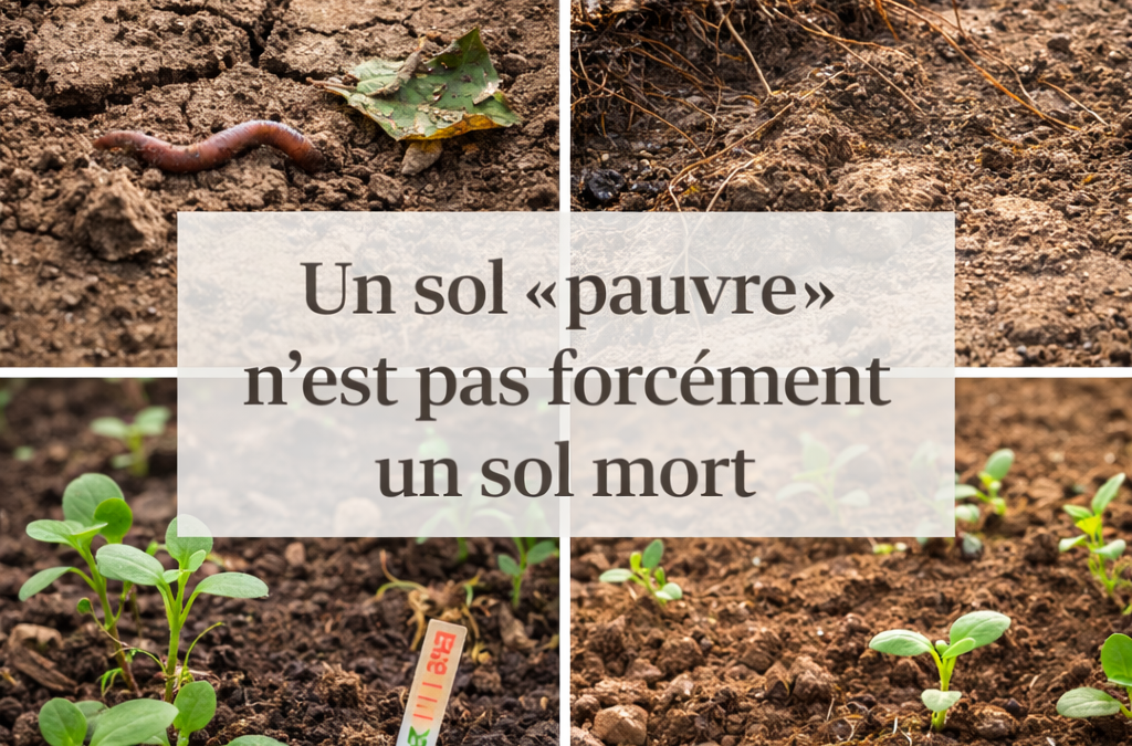 Pourquoi un sol « pauvre » n’est pas forcément un sol mort