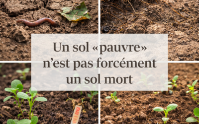 Pourquoi un sol « pauvre » n’est pas forcément un sol mort